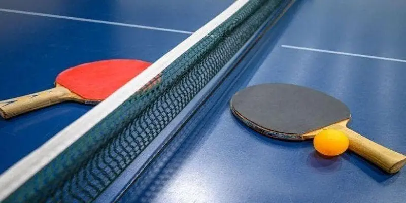 Experience in Playing Table Tennis Betting for High Efficiency